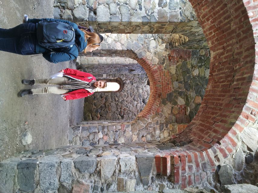 From Stockholm: Viking Culture Guided Tour with Transfer - Price, comfort, and overall value