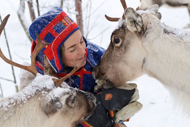 Full-Day Reindeer Tour with Pickup in Kiruna - Key points before you book
