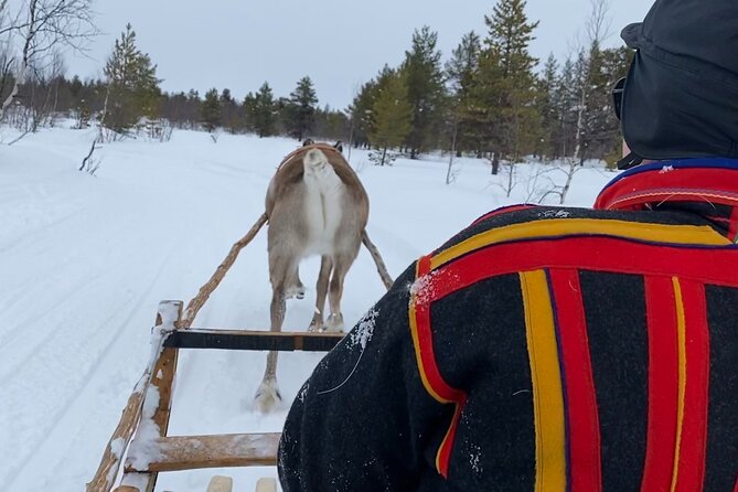Full-Day Reindeer Tour with Pickup in Kiruna - The long road from Kiruna to Sápmi