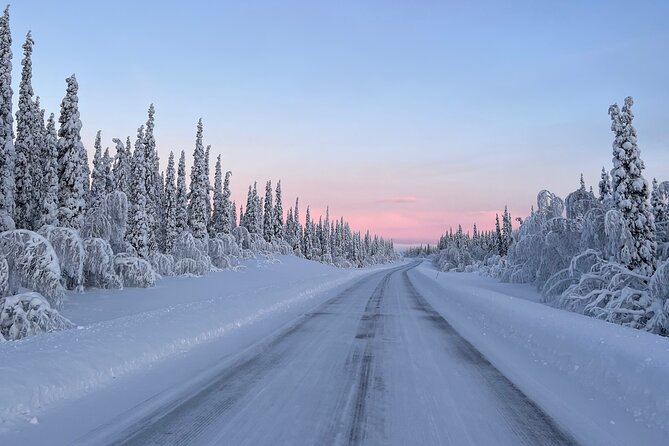 Full-Day Reindeer Tour with Pickup in Kiruna - A short but lively reindeer sled ride