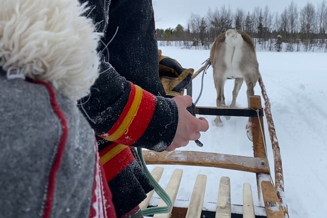 Full-Day Reindeer Tour with Pickup in Kiruna - What the $309.21 price includes