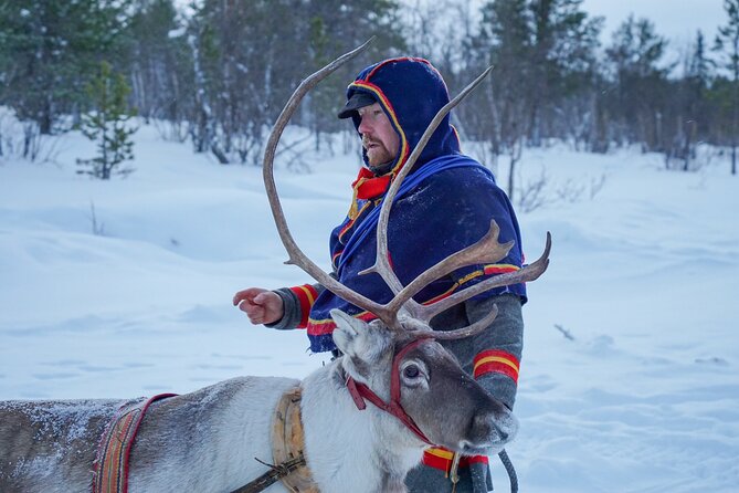 Full-Day Reindeer Tour with Pickup in Kiruna - Who will enjoy this day most