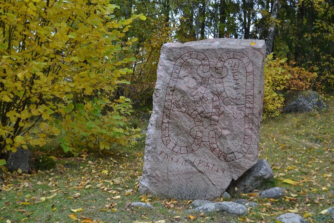 Full Day Viking Tour with Fika Swedish Coffee Break - Jarlabanke Runestones: starting with Viking voices