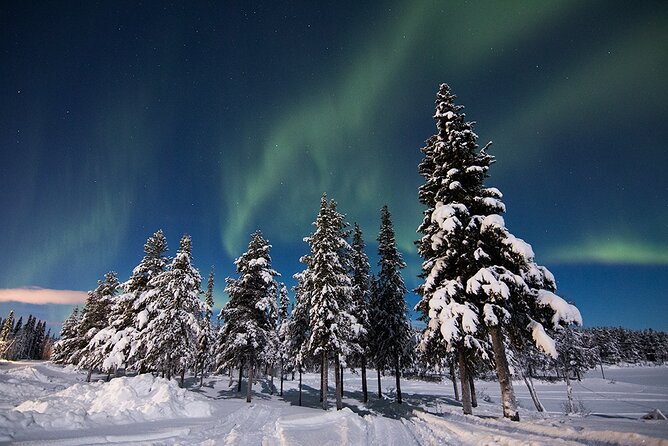 Guided Northern Lights Tour at Kiruna - Leaving Kiruna at 8 pm
