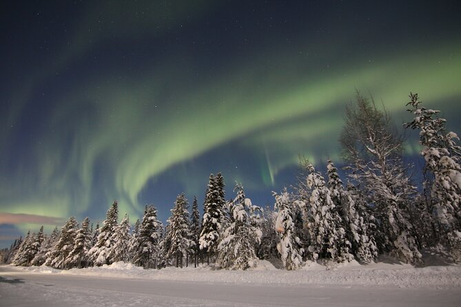 Guided Northern Lights Tour at Kiruna - Value at $192.59 per person