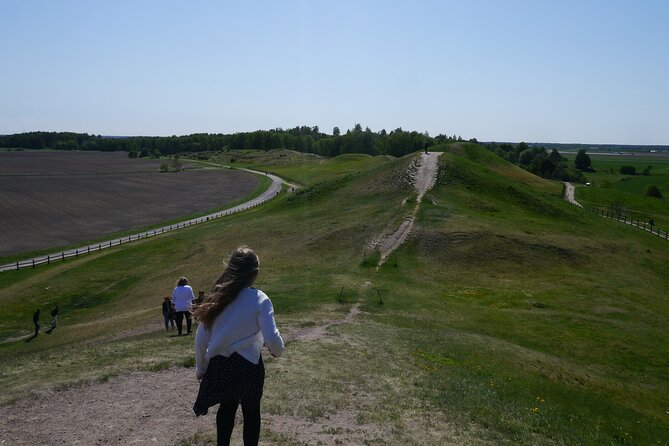 Guided tour 90min at Old Uppsala mounds and old Uppsala church - Key points at a glance