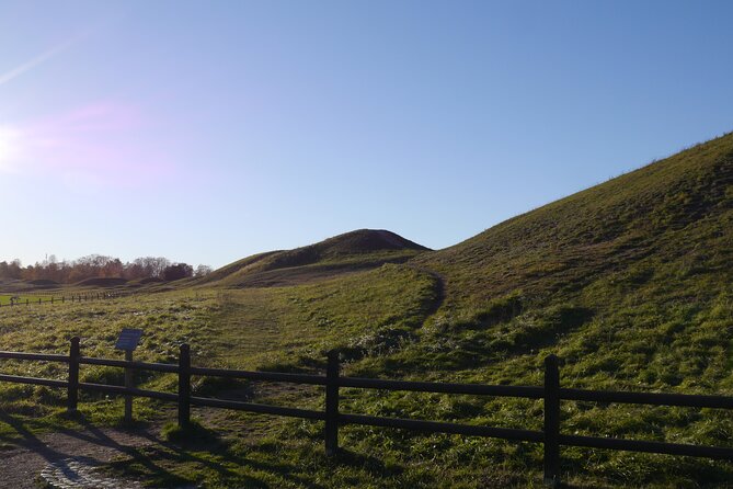 Guided tour 90min at Old Uppsala mounds and old Uppsala church - Reading the three great mounds