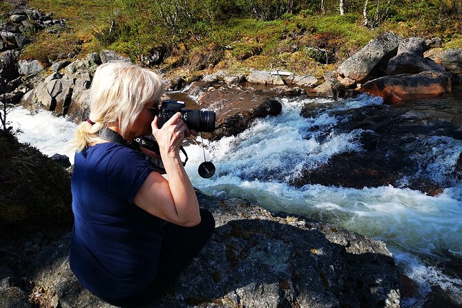 Half day Wildlife and Nature Photography - Why this is more than a wildlife drive