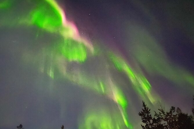 Husky Sled Ride Northern Lights Tour from Kiruna - Key things to know before booking