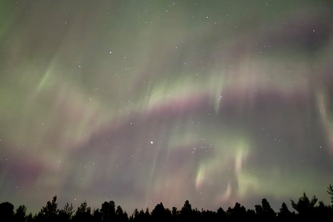 Husky Sled Ride Northern Lights Tour from Kiruna - What the $194.04 price gets you
