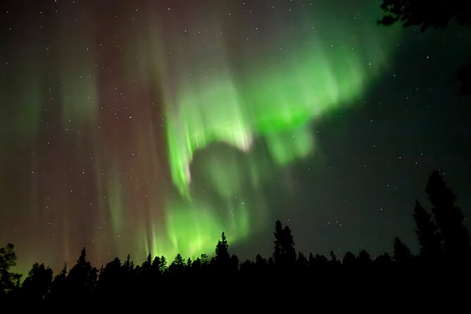 Husky Sled Ride Northern Lights Tour from Kiruna - Practical details that can affect your night