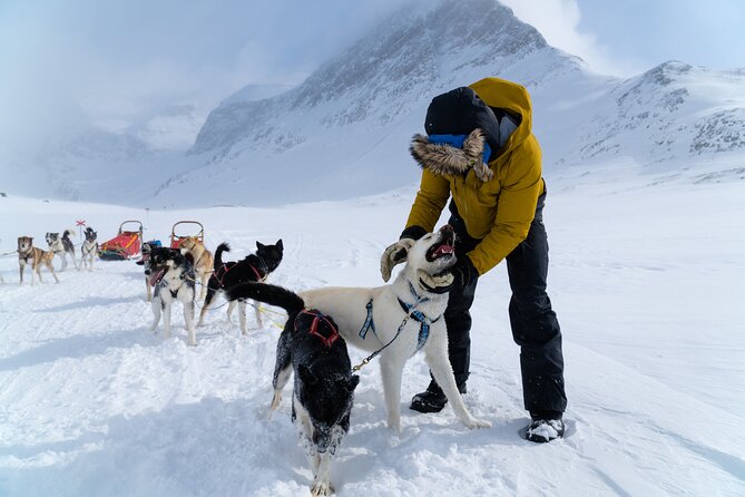 Husky Sledding Tour - A hands-on start at Oatfield Huskies
