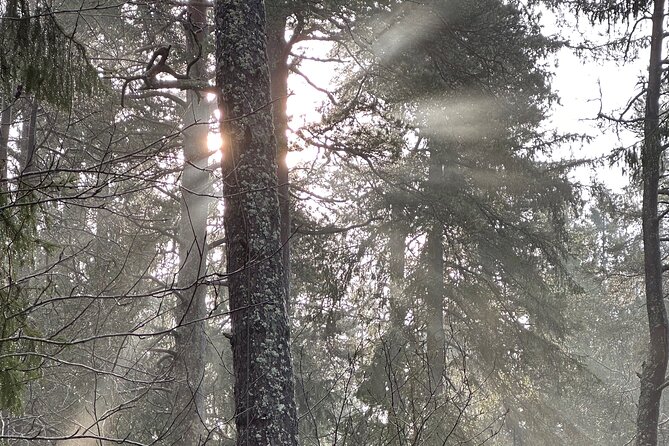Icebathing and Sauna, Forest Hike and Fireplace Lunch - Private - The Optional Lake Plunge