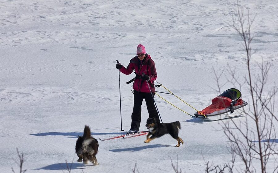 Kiruna: Cross-Country Skiing Tour with a Guide - Getting started with Annette or Levi