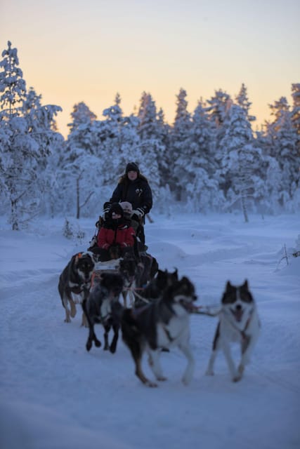 Kiruna: Morning Husky Sled Ride with Coffee Break - Warm clothing helps, but layers still matter