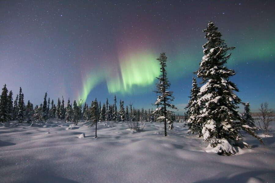 Kiruna: Northern Lights Minivan Chase with Warm Drink - Key points before you book