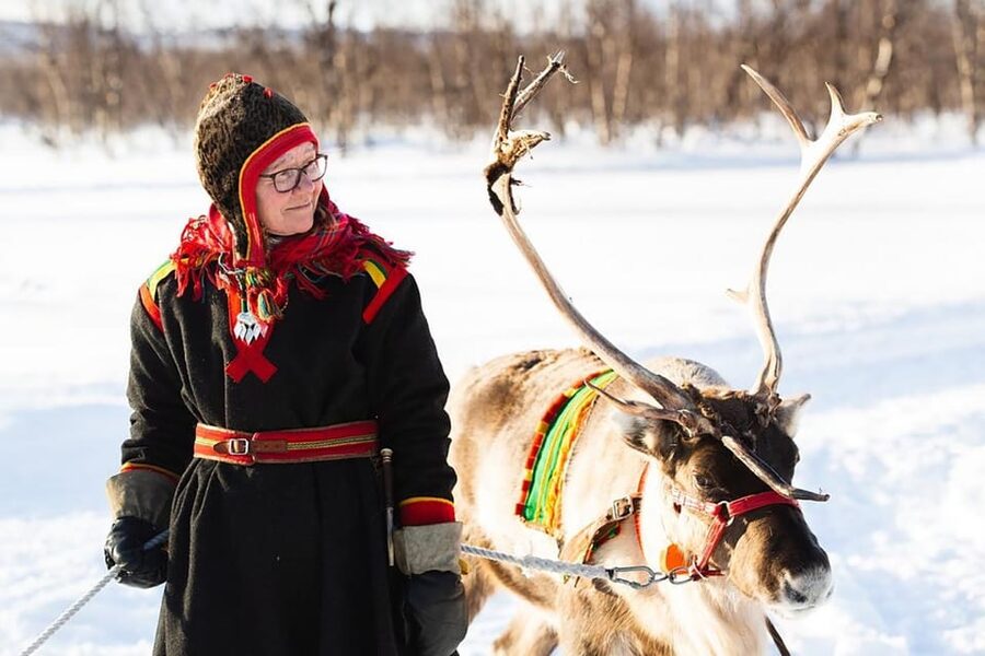 KIRUNA: Sami Reindeer Experience - From Kiruna to a Sami farm in Rávttas