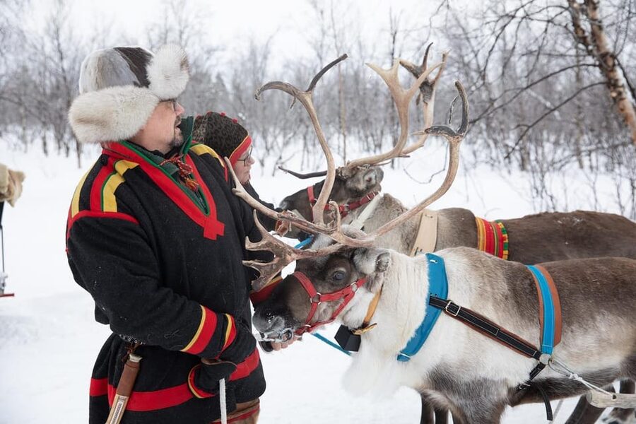 KIRUNA: Sami Reindeer Experience - Suovas lunch in the lávvu