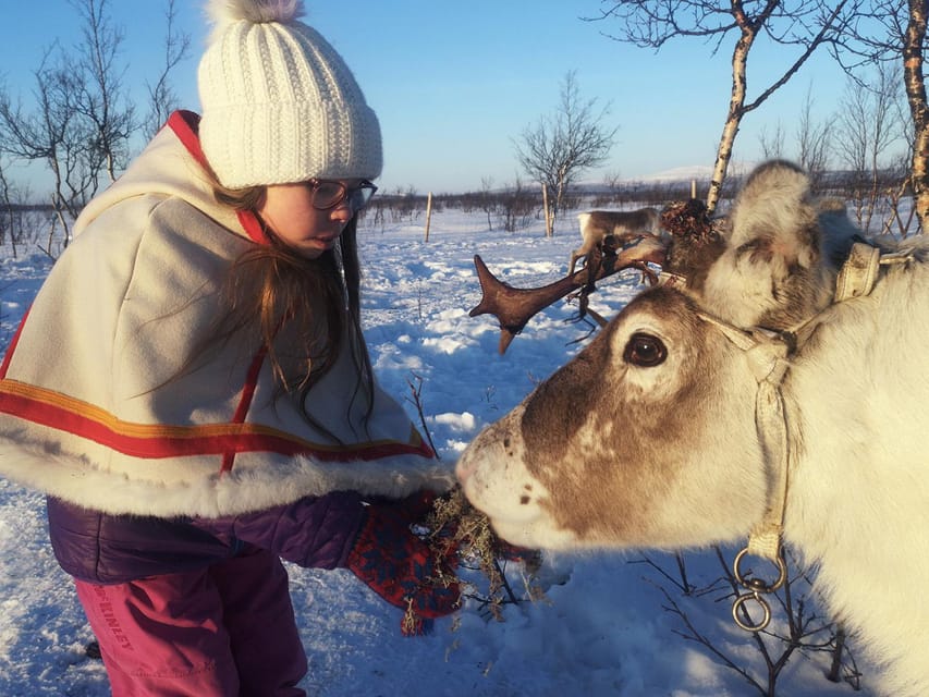 Kiruna: Tour of Icehotel and Jukkasjärvi - Meeting Reindeer at Nutti Sami Siida