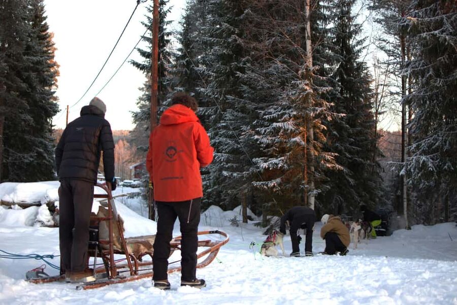 Luleå: Guided Dog Sledding Tour - Coffee beside the open fire