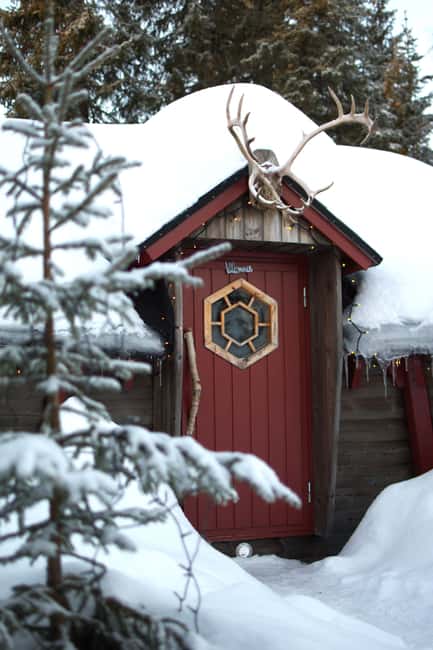 Luleå: Guided Dog Sledding Tour - The kennel visit is more than a quick photo stop