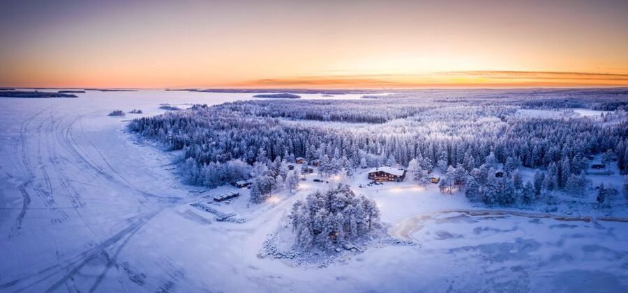 Luleå : Snowmobile - Forest and Ice Nature Tour 2h - What the nature guide adds