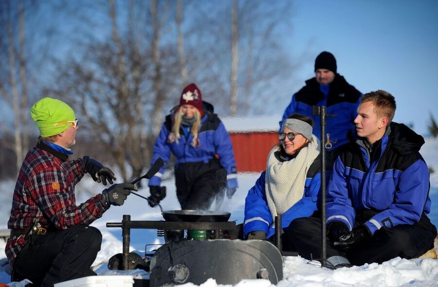 Luleå : Snowmobile - Forest and Ice Nature Tour 2h - Group size can shape the day
