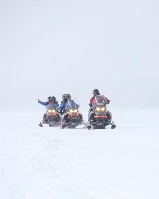 Luleå : Snowmobile - Forest and Ice Nature Tour 2h - The Luleå transfer and Brändön timing