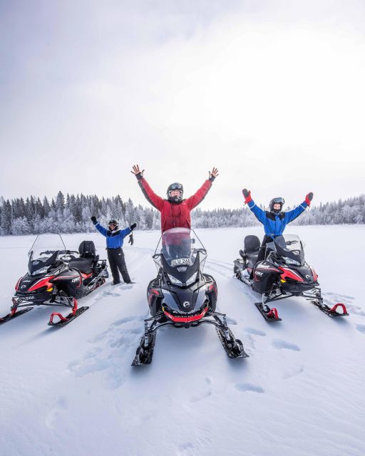 Luleå : Snowmobile - Forest and Ice Nature Tour 2h - Forest trails, frozen water, and regular stops