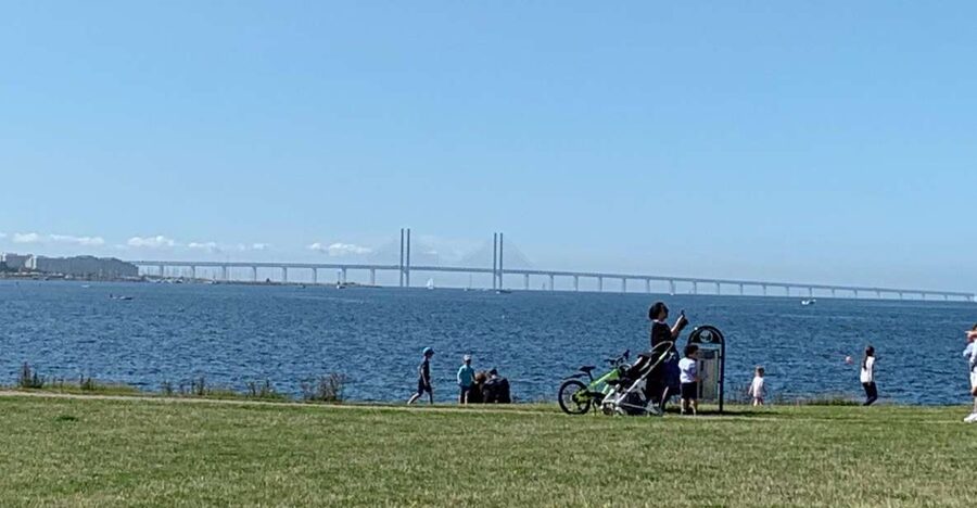 Malmö: 3-Hour Guided Walking Tour - Kungsparken and Slottsparken slow the pace