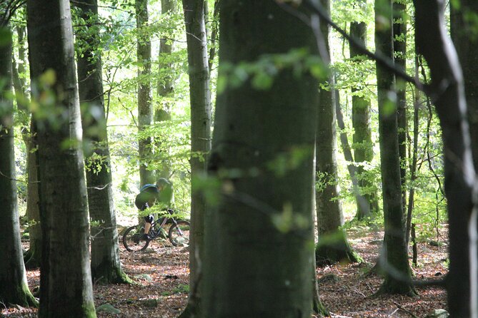 Malmo Bike Rental - What comes with the $26.41 rental