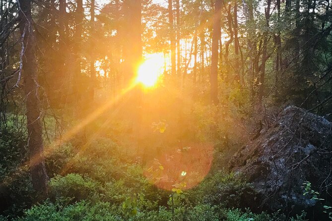 Midnight Sun and Campfire - National Park evening hike Stockholm - A personal guide and a small group