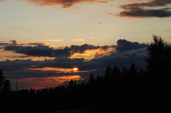 Moose safari in the wild Sweden Tiveden - The minivan search around Tived and Tiveden National Park