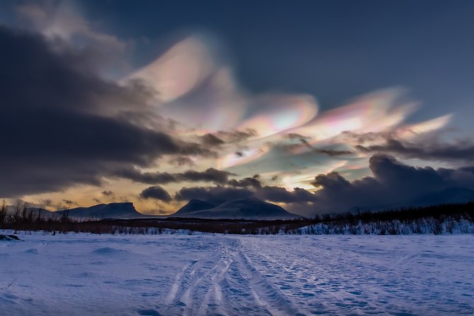 Morning hike in Abisko National Park - Pickup from Abisko and Björkliden