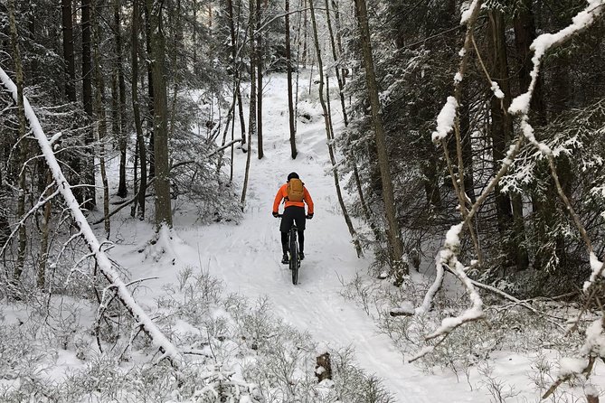 Mountain Biking Small-Group in Stockholm Forests for Beginners - The quiet appeal of lakes, woods, and wildlife
