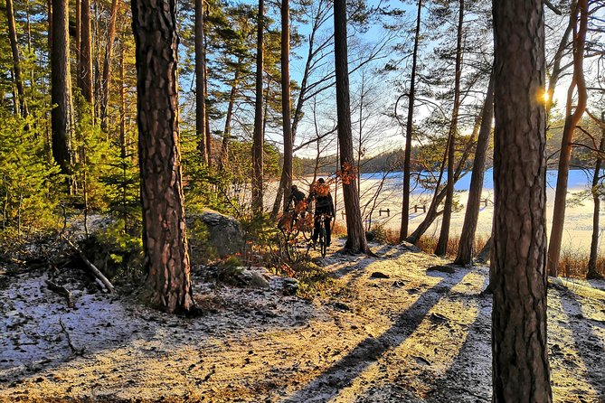 Mountain Biking Small-Group in Stockholm Forests for Beginners - Is $144 a fair price?