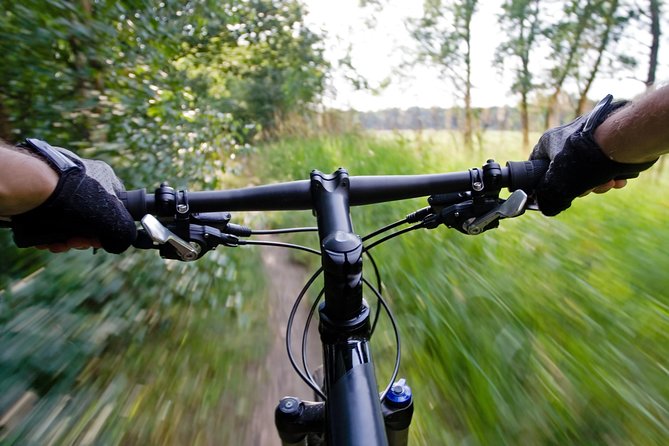Mountain Biking Small-Group in Stockholm Forests for Beginners - Riding the reserve at the right pace