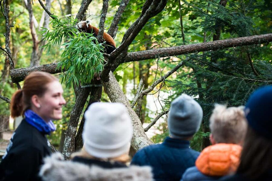 Nordens Ark Entry Ticket - Summer Activities From June 24 to August 11
