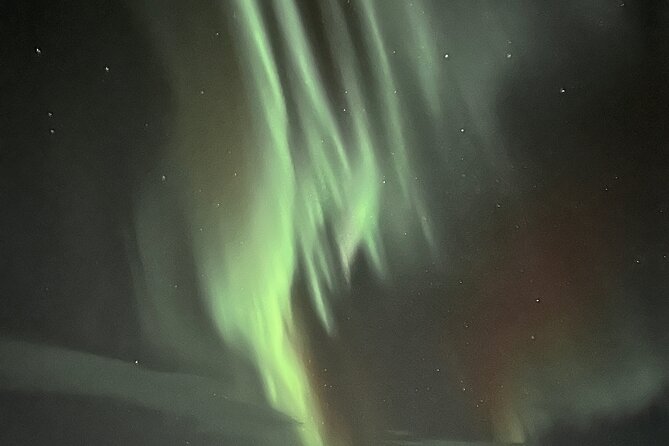 Northern Light hunt with minibus to Abisko 7:30 pm - What the guides add to the night