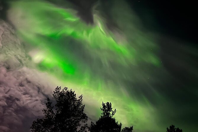 Northern Light hunt with minibus to Abisko 7:30 pm - Small group, minibus, and pickup details