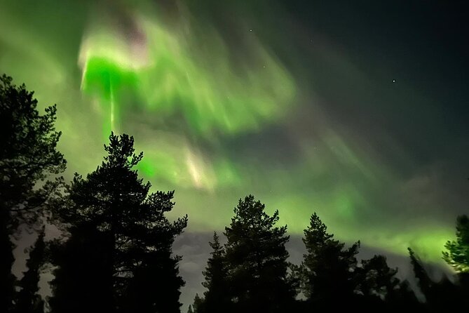 Northern Light hunt with minibus to Abisko 7:30 pm - The snacks are small, but they count