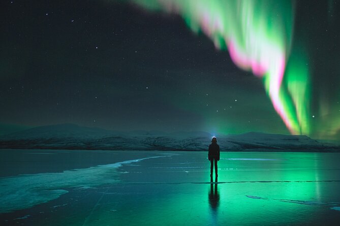 Northern Lights Photo Expedition Dinner Included from Abisko - Dinner in Abisko before the night chase