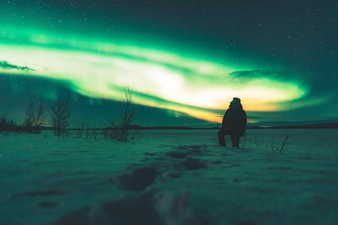 Northern Lights Photo Expedition Dinner Included from Abisko - Is $235.33 a fair price?