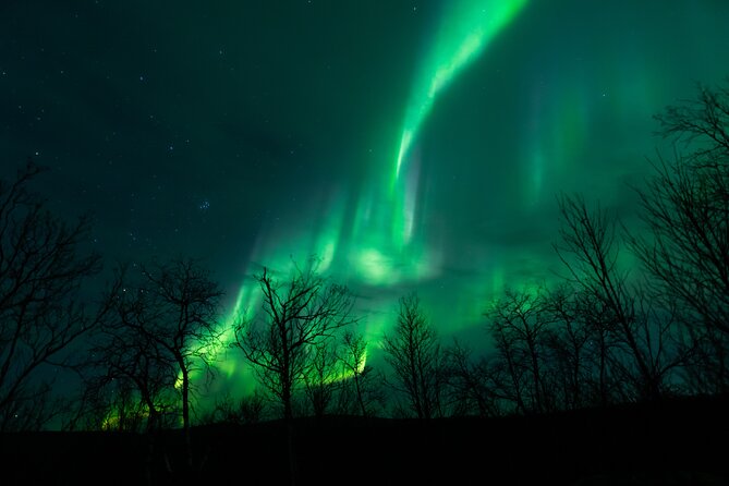 Northern Lights Tour from Kiruna to Abisko with Dinner - Key points at a glance