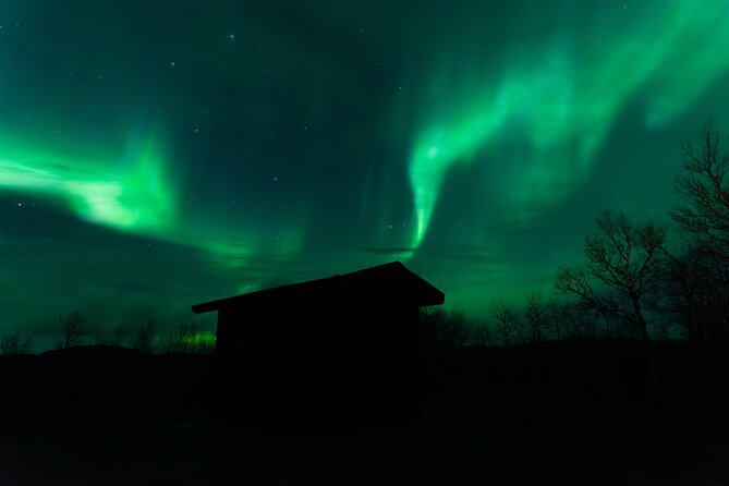 Northern Lights Tour from Kiruna to Abisko with Dinner - Professional photographs beneath the Northern Lights