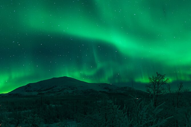 Northern Lights Tour from Kiruna to Abisko with Dinner - How much value do you get for $278.79?