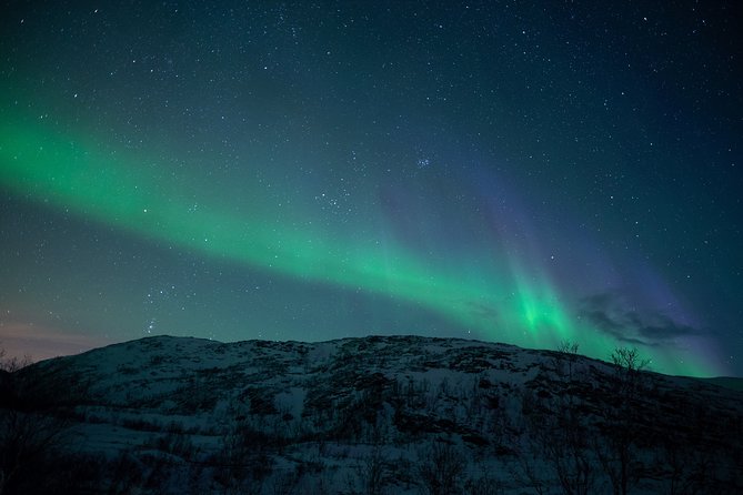 Northern Lights Tour from Kiruna to Abisko with Dinner - Group size, age, and physical demands