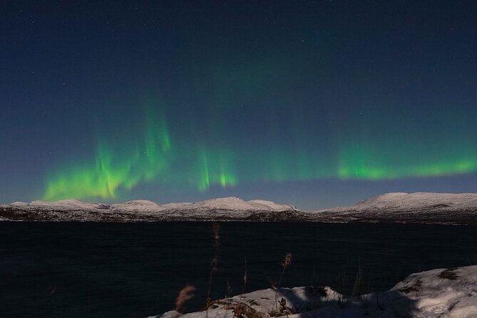 Northern Lights Tour from Kiruna to Abisko with Dinner - What makes the guides useful