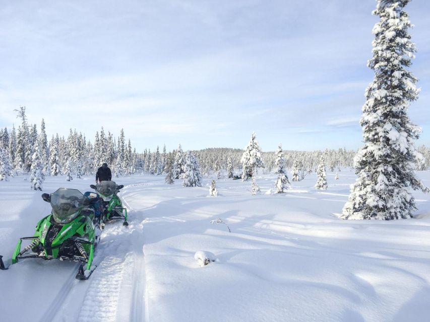 Polar Nature Tour on Snowmobile - From Kiruna town to Kalixforsbron