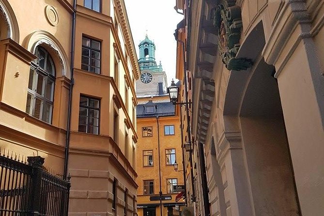 Private Car Tour of Stockholm with a Live guide, including the Vasa museum. - Pickup details for hotels, ports, and cruise passengers